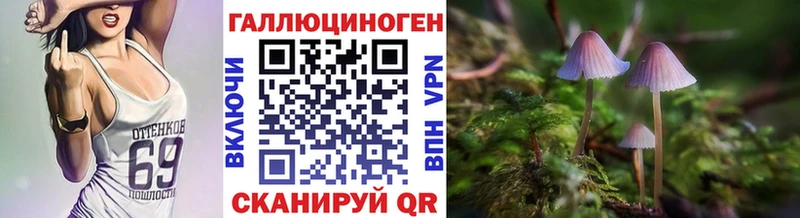 Псилоцибиновые грибы Cubensis  Тутаев 